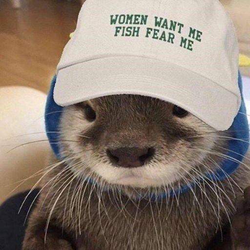 Avatar von localhorst